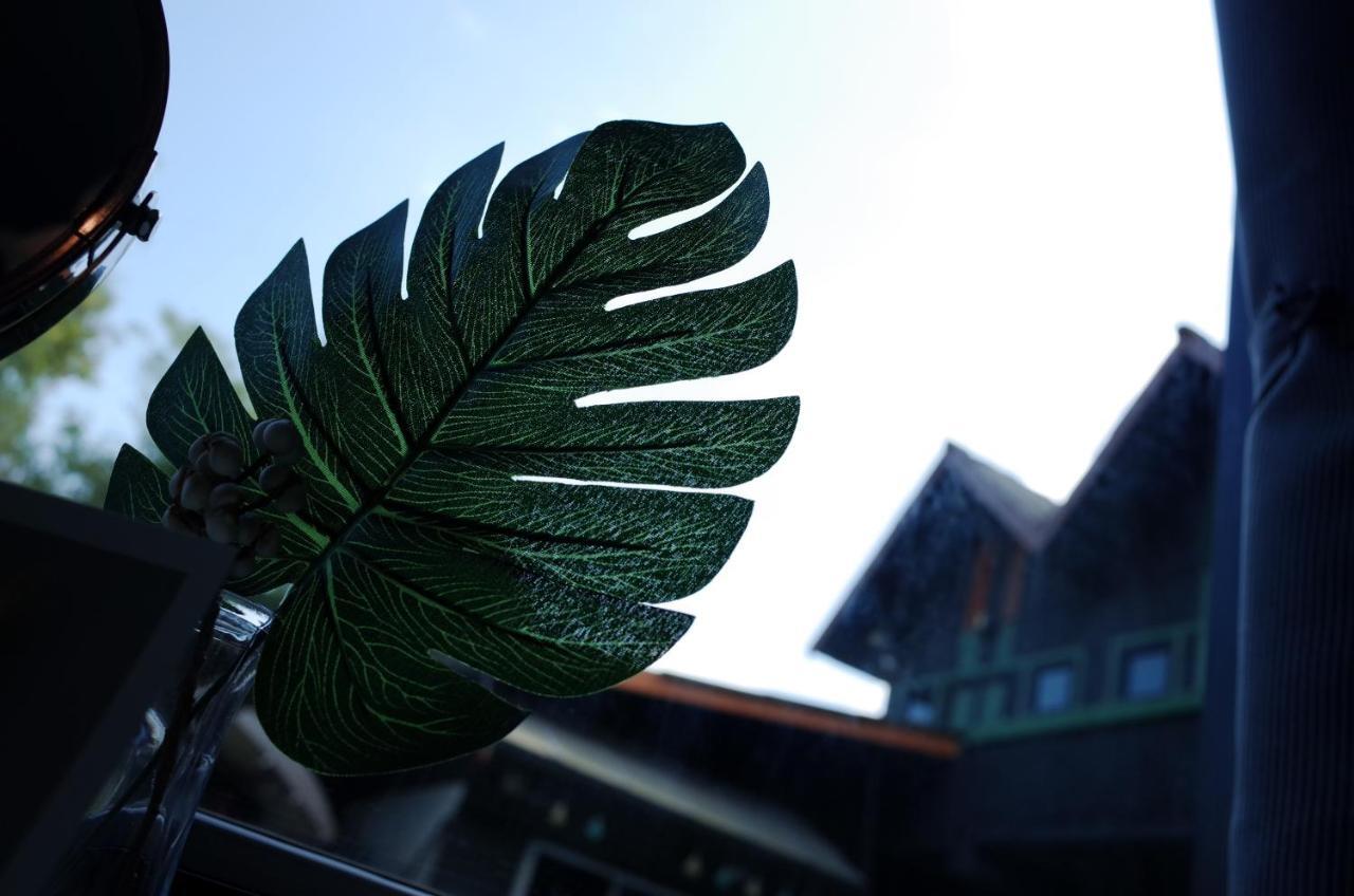Chiangmai Moli Inn (Adults Only) Чиангмай Екстериор снимка